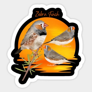 Zebra Finch Sticker